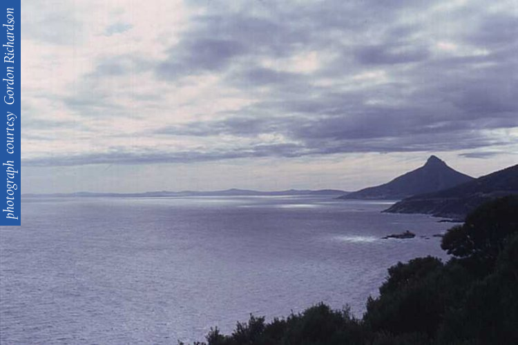 15_atlantic_lions_headd