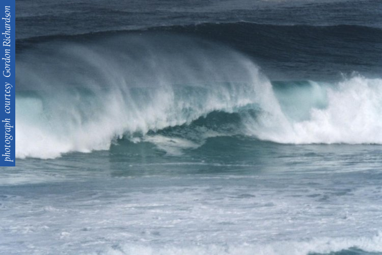 24_wave_tube_scrbrgh