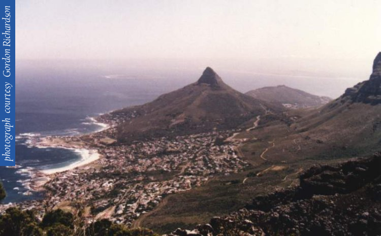 lions_head_camps_bayc