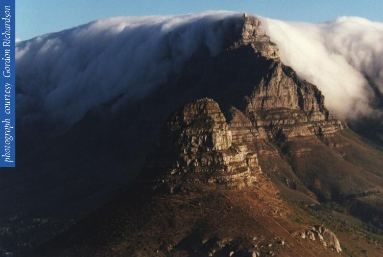 lions_head_tablecloth_tm_aerial